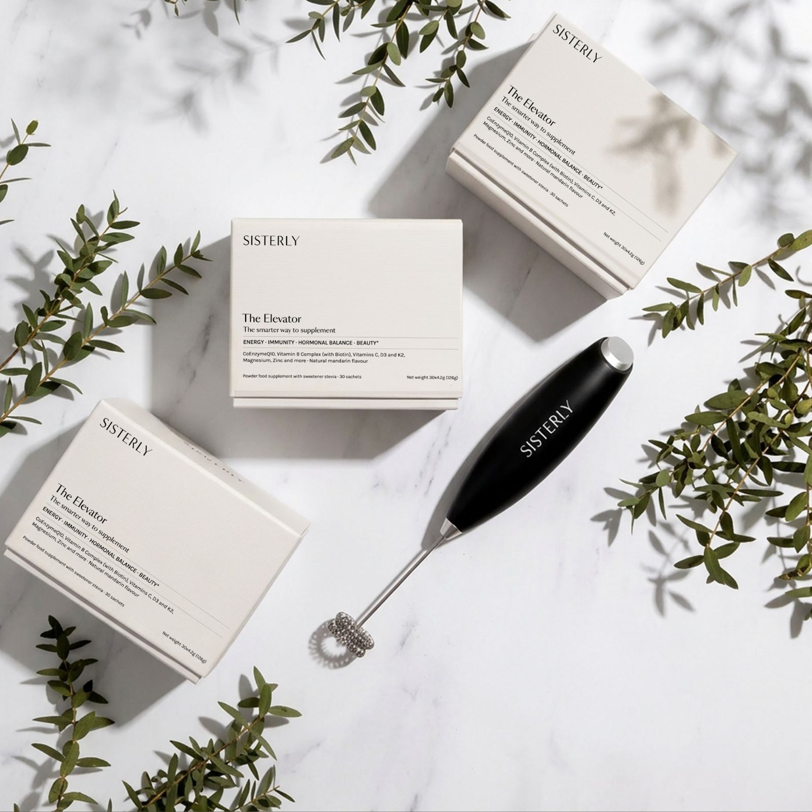 SISTERLY The Elevator