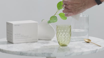 SISTERLY Weekly Pack